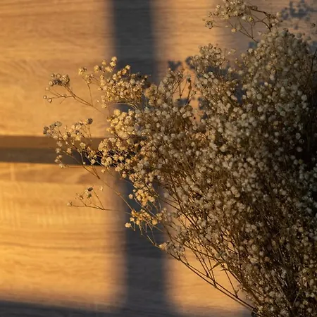 Lieblingsquartier - 5 * Sankt Andreasberg