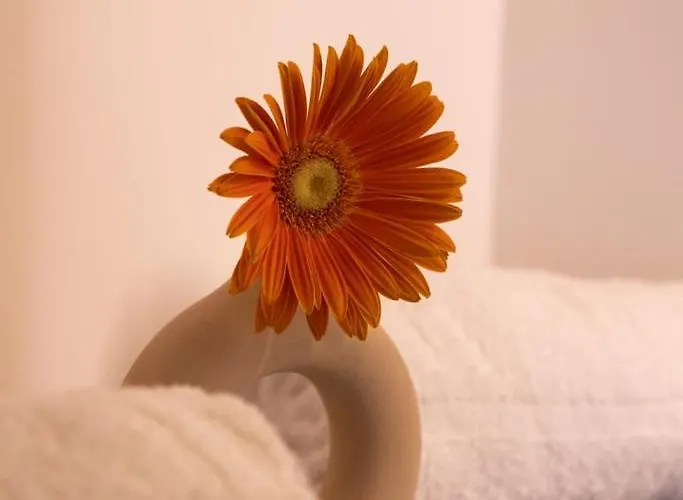 Lieblingsquartier - 5 圣安德里斯伯格